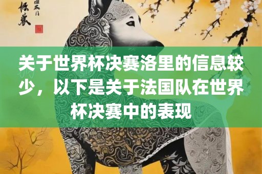 关于世界杯决赛洛里的信息较少，以下是关于法国队在世界杯决赛中的表现