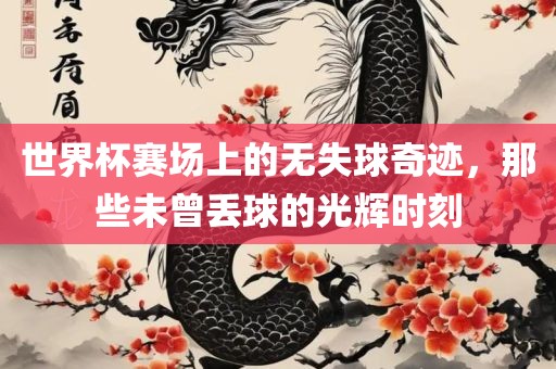 世界杯赛场上的无失球奇迹，那些未曾丢球的光辉时刻