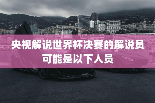 央视解说世界杯决赛的解说员可能是以下人员