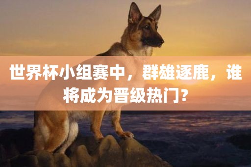 世界杯小组赛中，群雄逐鹿，谁将成为晋级热门？