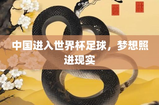 中国进入世界杯足球，梦想照进现实
