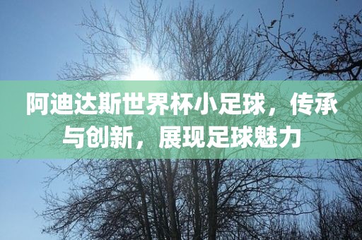 阿迪达斯世界杯小足球，传承与创新，展现足球魅力