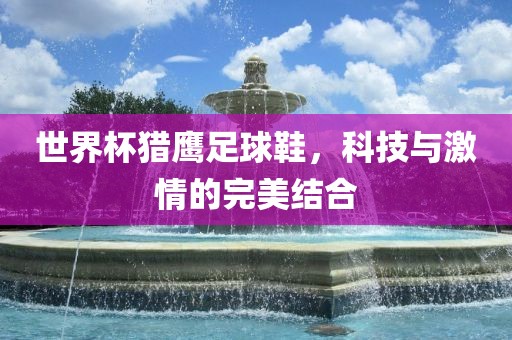 世界杯猎鹰足球鞋，科技与激情的完美结合