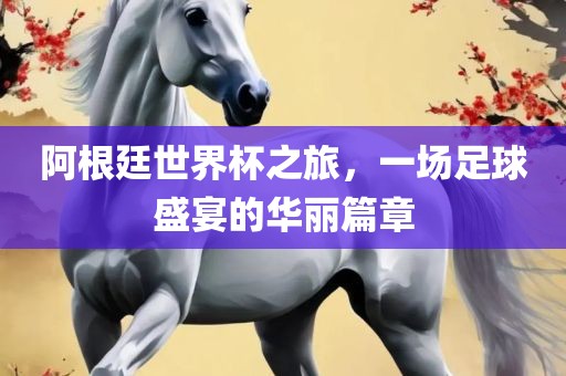 阿根廷世界杯之旅，一场足球盛宴的华丽篇章