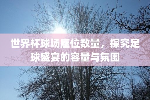 世界杯球场座位数量，探究足球盛宴的容量与氛围