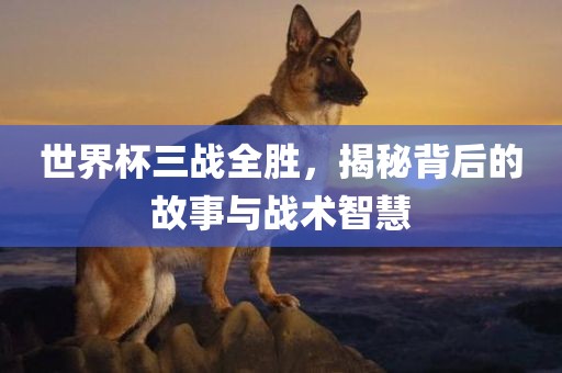 世界杯三战全胜，揭秘背后的故事与战术智慧