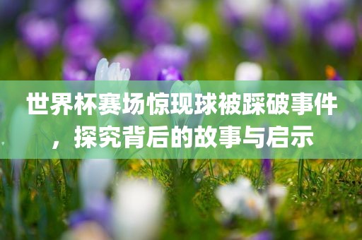 世界杯赛场惊现球被踩破事件，探究背后的故事与启示