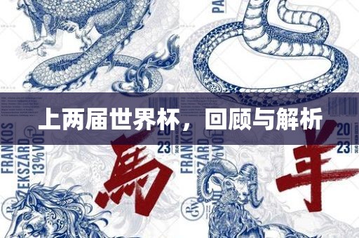 上两届世界杯，回顾与解析