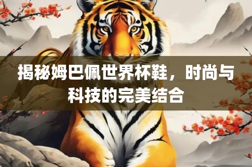 揭秘姆巴佩世界杯鞋，时尚与科技的完美结合