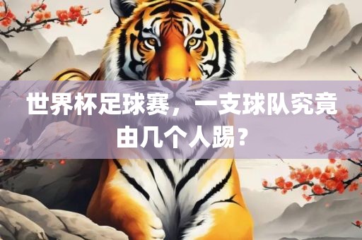 世界杯足球赛，一支球队究竟由几个人踢？
