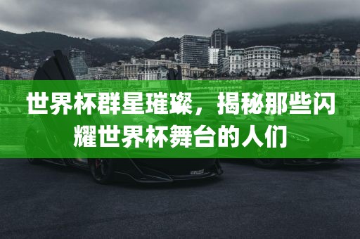 世界杯群星璀璨，揭秘那些闪耀世界杯舞台的人们