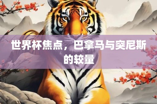 世界杯焦点，巴拿马与突尼斯的较量