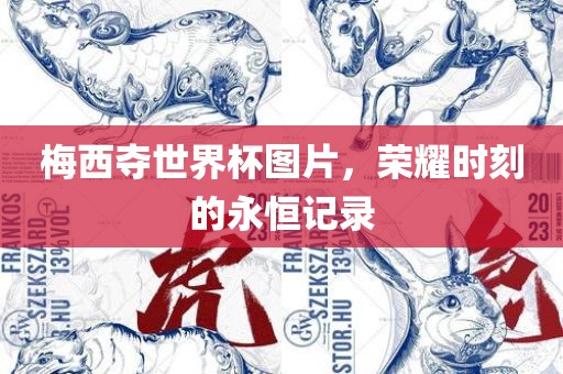 梅西夺世界杯图片，荣耀时刻的永恒记录