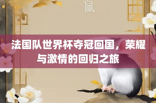 法国队世界杯夺冠回国，荣耀与激情的回归之旅