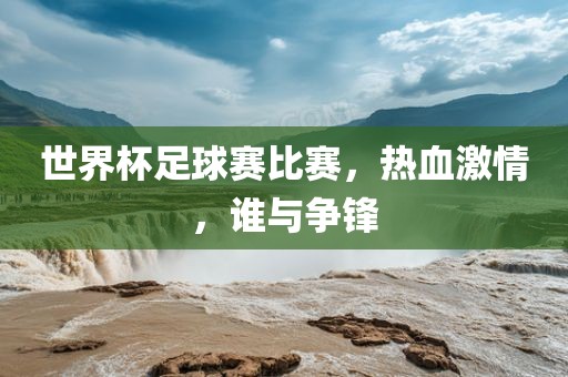 世界杯足球赛比赛，热血激情，谁与争锋