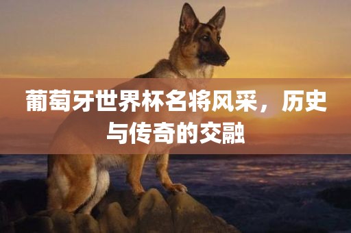 葡萄牙世界杯名将风采，历史与传奇的交融