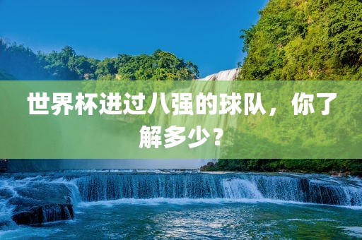 世界杯进过八强的球队，你了解多少？