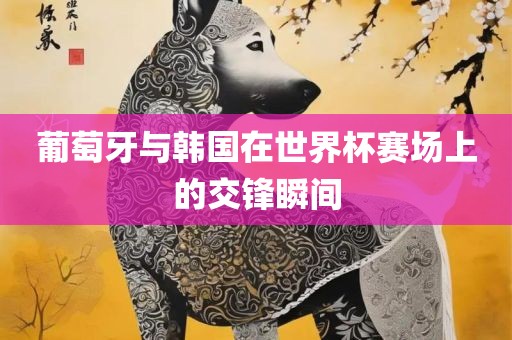 葡萄牙与韩国在世界杯赛场上的交锋瞬间