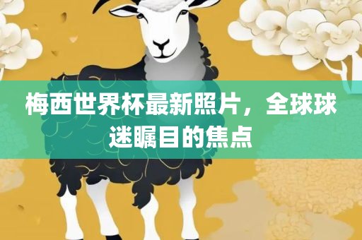 梅西世界杯最新照片，全球球迷瞩目的焦点
