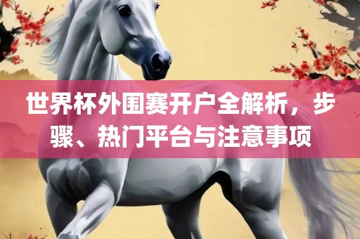 世界杯外围赛开户全解析，步骤、热门平台与注意事项