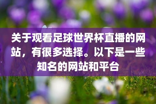 关于观看足球世界杯直播的网站，有很多选择。以下是一些知名的网站和平台