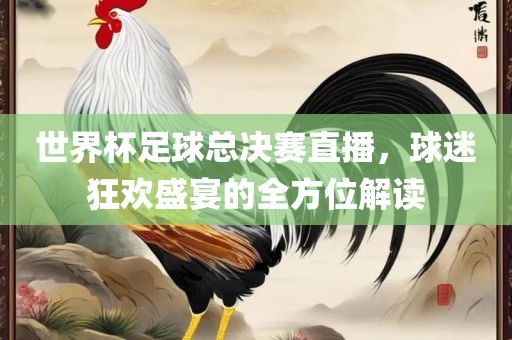世界杯足球总决赛直播，球迷狂欢盛宴的全方位解读