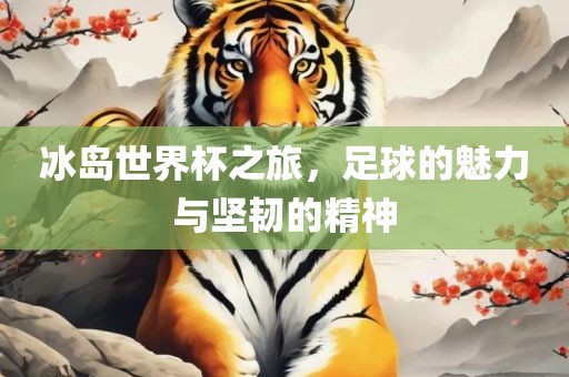 冰岛世界杯之旅，足球的魅力与坚韧的精神