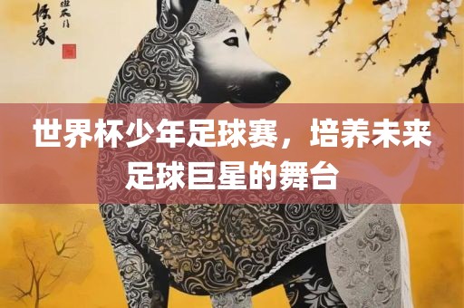 世界杯少年足球赛，培养未来足球巨星的舞台