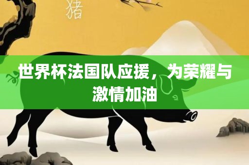 世界杯法国队应援，为荣耀与激情加油