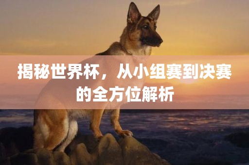 揭秘世界杯，从小组赛到决赛的全方位解析