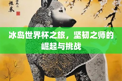 冰岛世界杯之旅，坚韧之师的崛起与挑战