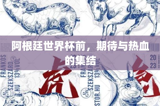 阿根廷世界杯前，期待与热血的集结