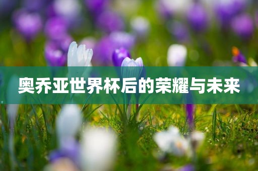 奥乔亚世界杯后的荣耀与未来