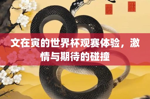文在寅的世界杯观赛体验，激情与期待的碰撞