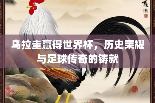 乌拉圭赢得世界杯，历史荣耀与足球传奇的铸就