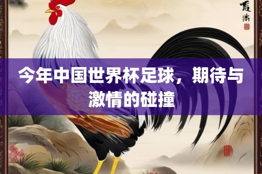 今年中国世界杯足球，期待与激情的碰撞