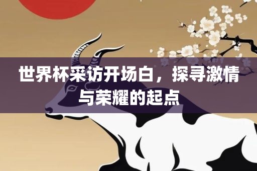 世界杯采访开场白，探寻激情与荣耀的起点