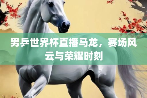 男乒世界杯直播马龙，赛场风云与荣耀时刻
