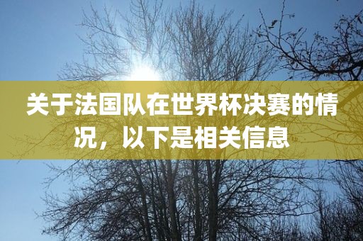关于法国队在世界杯决赛的情况，以下是相关信息