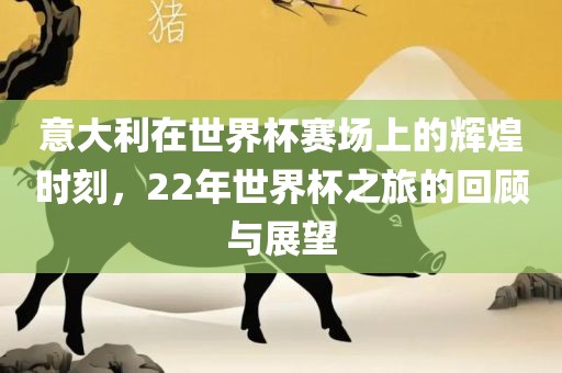 意大利在世界杯赛场上的辉煌时刻，22年世界杯之旅的回顾与展望