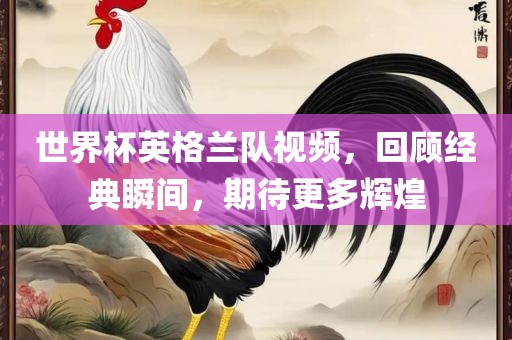 世界杯英格兰队视频，回顾经典瞬间，期待更多辉煌