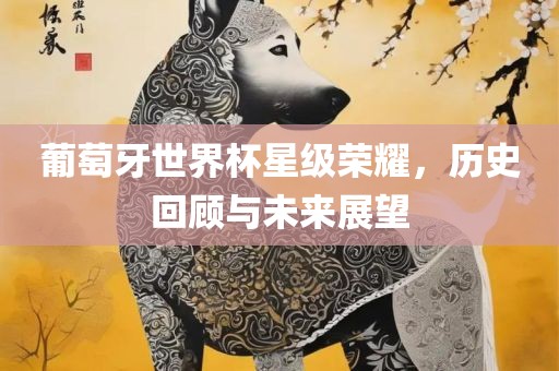 葡萄牙世界杯星级荣耀，历史回顾与未来展望