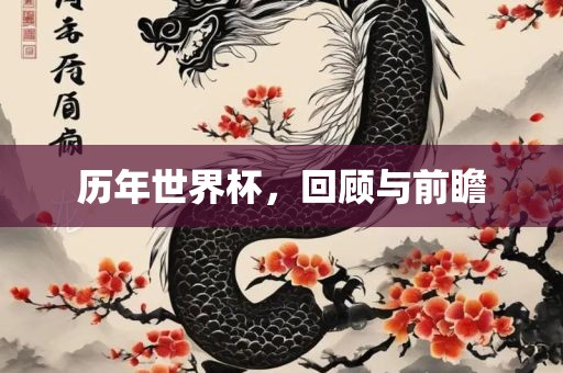 历年世界杯，回顾与前瞻眉山市正发家政服务有限公司