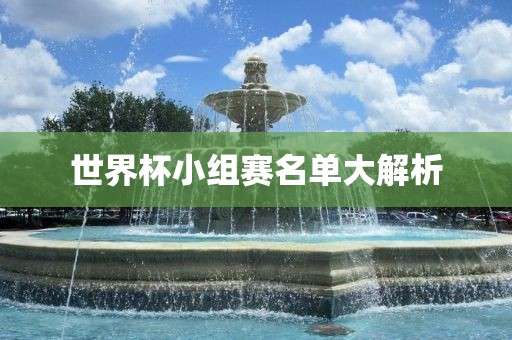 世界杯小组赛名单大解析