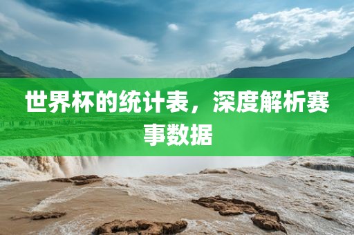 世界杯的统计表，深度解析赛事数据
