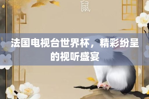 法国电视台世界杯，精彩纷呈的视听盛宴