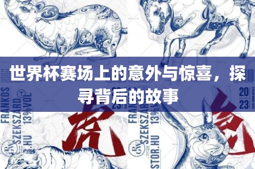 世界杯赛场上的意外与惊喜，探寻背后的故事