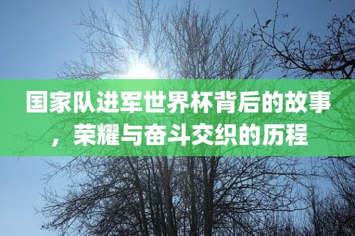 国家队进军世界杯背后的故事，荣耀与奋斗交织的历程