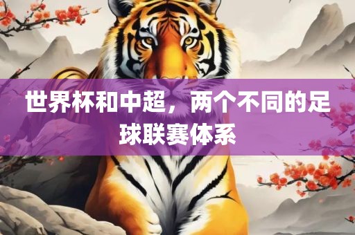 世界杯和中超，两个不同的足球联赛体系