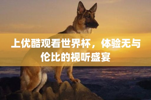 上优酷观看世界杯，体验无与伦比的视听盛宴